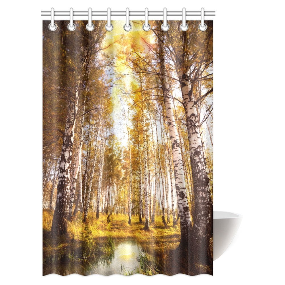 MYPOP Birch Tree Decor Shower Curtain, Autumn Birch Forest in Sunlight