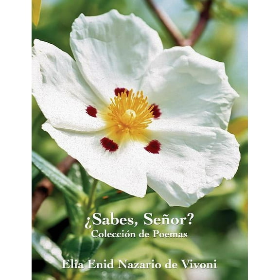 Sabes, Senor? (Paperback)