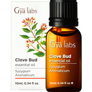 Gya Labs Clove Bud Essential Oil for Toothache Relief - Natural Clove Oil for Tooth Pain and Skin Care - 100 Pure Therapeutic Grade Clove Essential Oil for Aromatherapy - 10ml