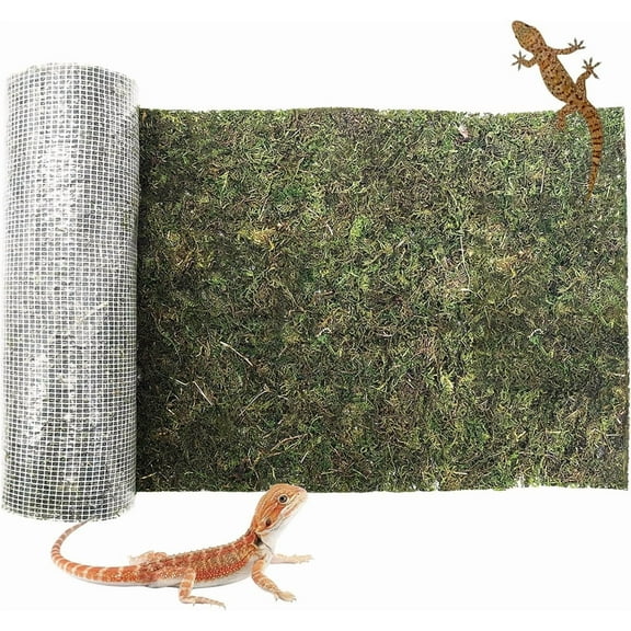 Duslogis Reptile Carpet, Natural Moss Mat for Terrarium, Bearded Dragon Tank Flooring Green Substrate Liner for Leopard Gecko Hermit Crab Lizard Tortoise (5.9" X 39.3")