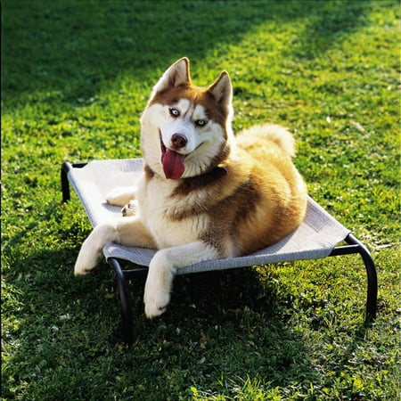 Coolaroo Elevated Pet Bed with Breathable Fabric, Medium 42
