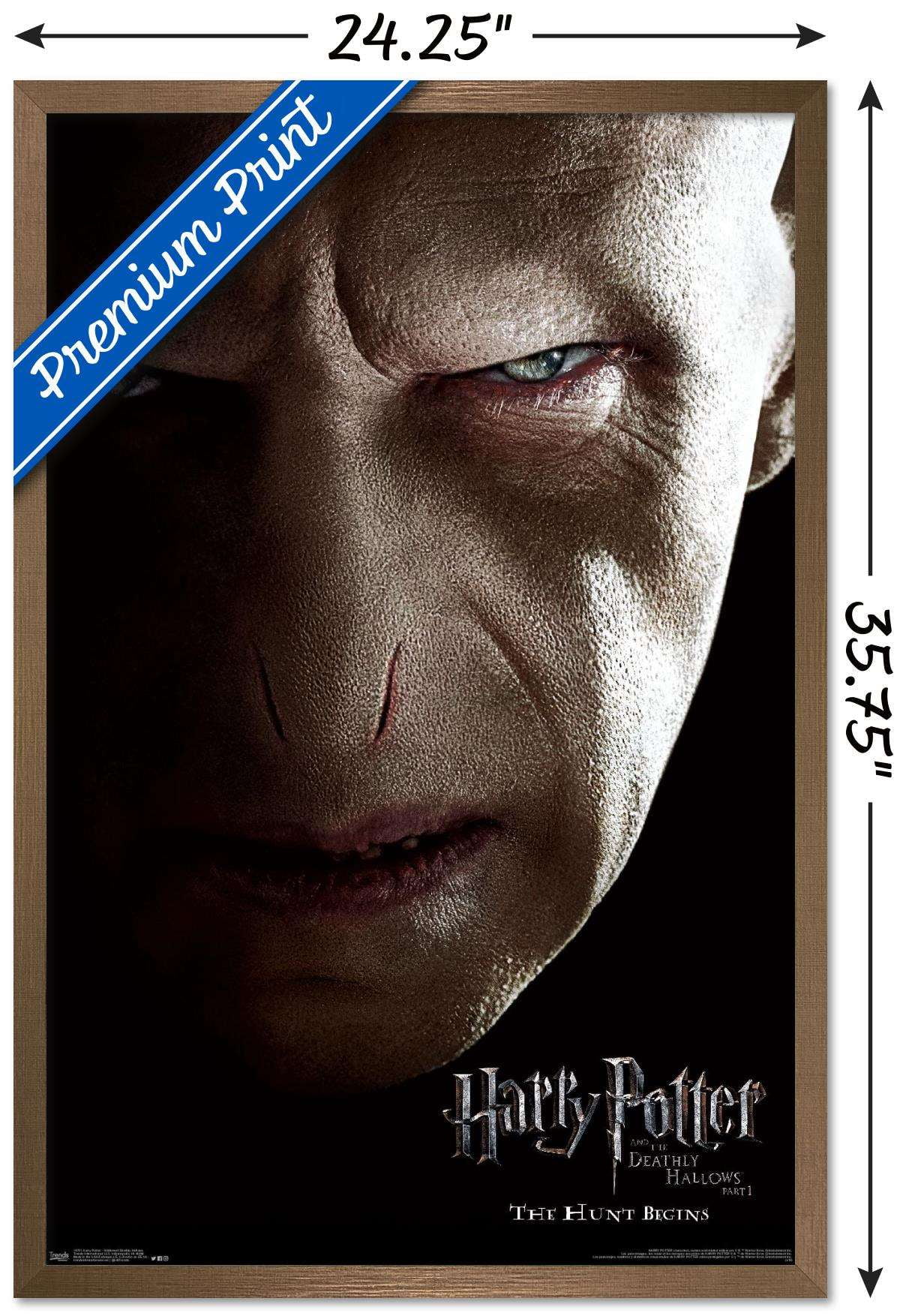 Harry Potter and the Deathly Hallows: Part 1 - Voldemort One Sheet Wall  Poster, 22.375 x 34, Framed 