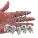 thumbnail image 1 of 10pcs Dental Teeth Shape Model, Tooth Key Chain, Cartoon Lovely Pendant, 1 of 3