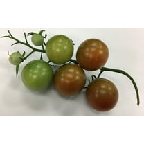 Brown Berry Heirloom Tomato Premium Seed Packet