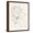 Brown Frame, variant on Art.com Magnolia Line Drawing v2 Crop Art Print by Moira Hershey, 12" x 16"