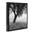 thumbnail image 2 of Stupell Industries Traditional Tuscan Morning Oak in Mist Black Floating Frame Canvas Art, 25 x 25, by Chip Forelli, 2 of 8