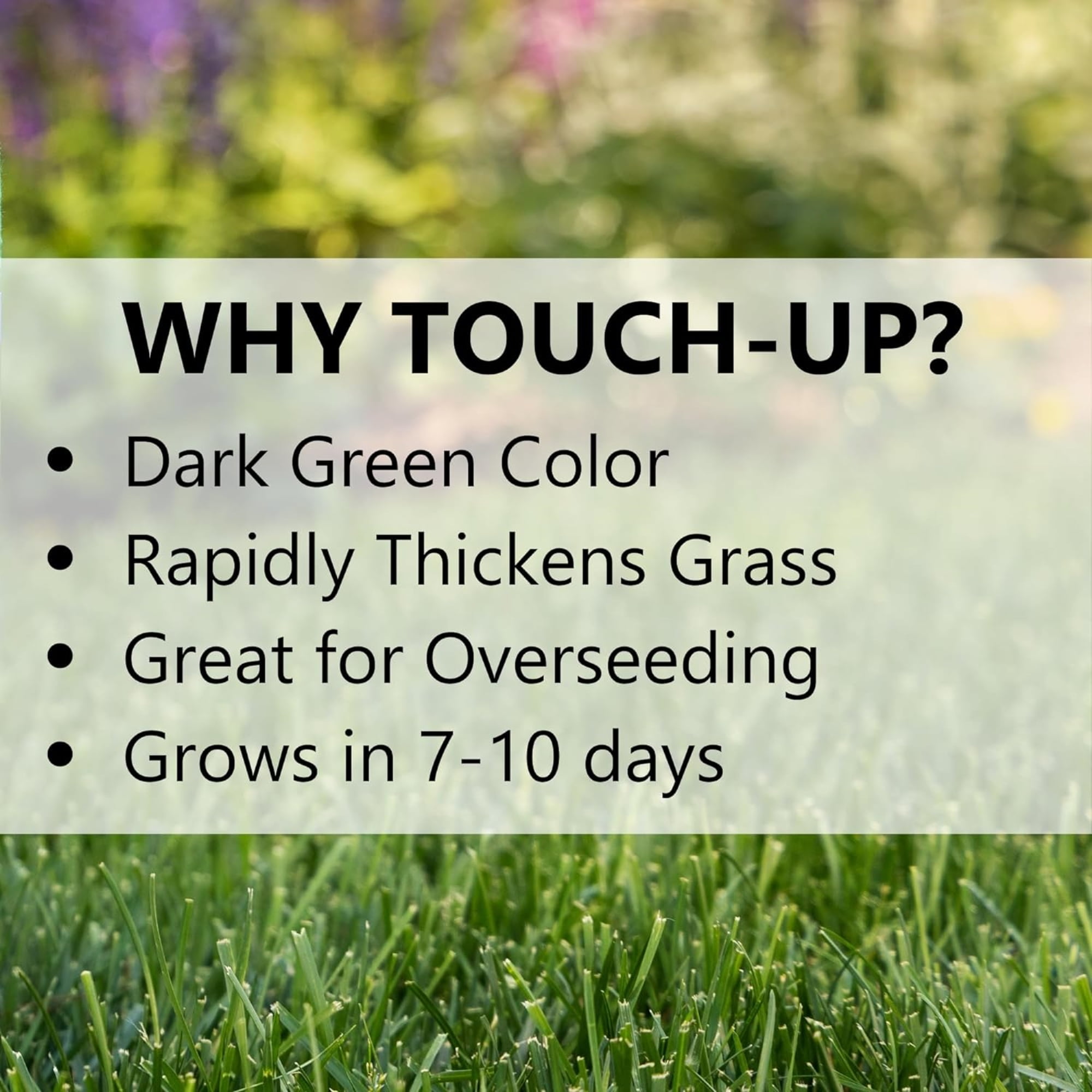 Jonathan Green Touch-Up Perennial Ryegrass Sun or Shade Grass Seed 3 lb