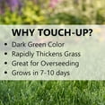 thumbnail image 3 of Jonathan Green Touch-Up Perennial Ryegrass Sun or Shade Grass Seed 3 lb, 3 of 4