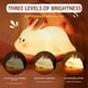 thumbnail image 3 of Baby Silicone Night Light Cute Panda Rabbit Rechargeable Dimmable Tap Nursery Lamp for Children Boys Girls Gift, 3 of 5