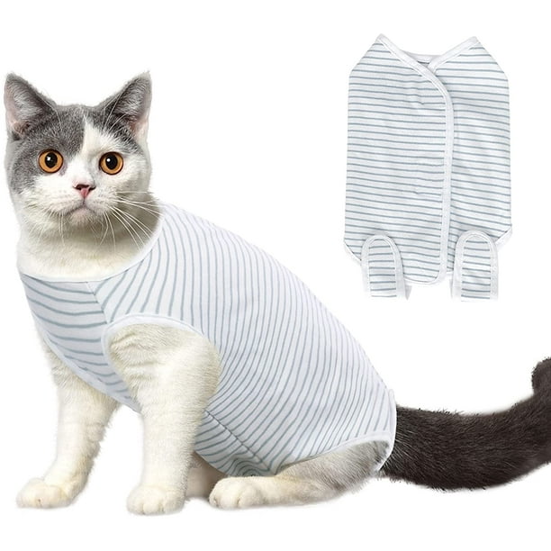 3 Pieces Cat Recovery Suit Kitten Recovery Suit E-Collar Alternative for  Cats an