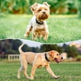 thumbnail image 2 of Reflective Dog Collar Padded with Soft Neoprene Breathable Quick Release Basic Dog Collars for Puppy Small Dogs, 2 of 6