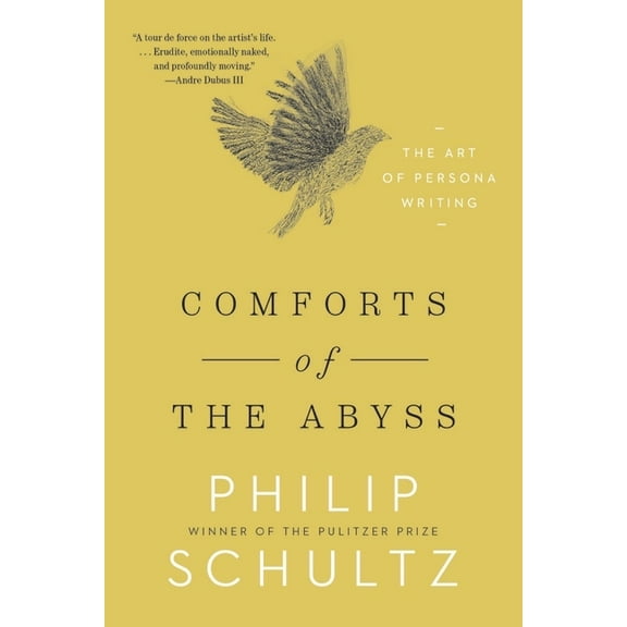Comforts of the Abyss: The Art of Persona Writing, (Paperback)
