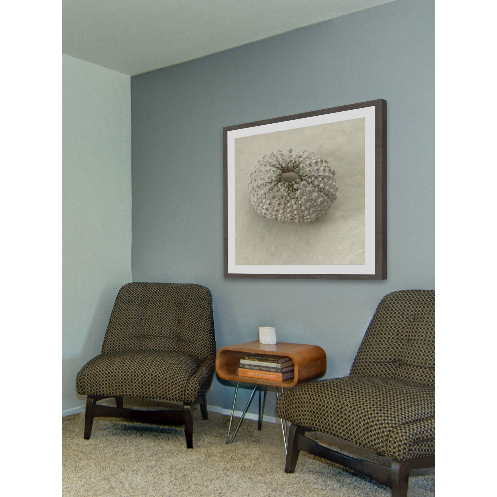 "Pearl Urchin Shell" Framed Painting Print