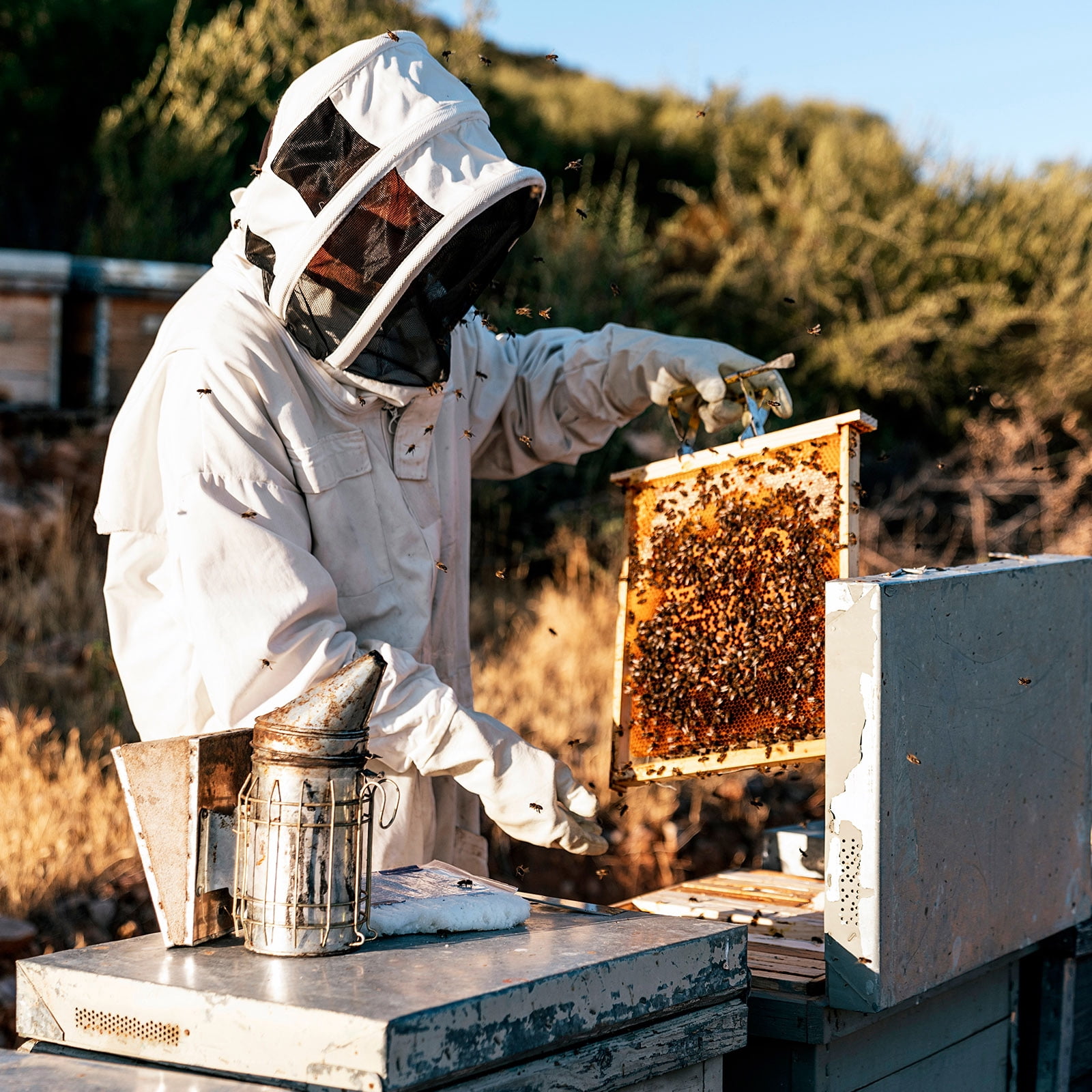 Apiary Suit Beekeeper Protective Suit With Gloves & Mask – Puncture ...
