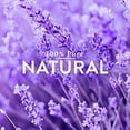 thumbnail image 6 of Better Homes & Gardens 100% Pure Essential Oil: Lavender, 15mL, 6 of 9