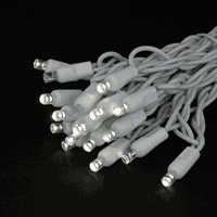 Novelty Lights 35 Lumière LED Scintillement Noël LED Mini Ensemble de Lumière, Rideau Extérieur Fée Mariage Chaîne Lumières, Non-Connectable, Blanc Chaud, Blanc Blanc, 17 Pieds