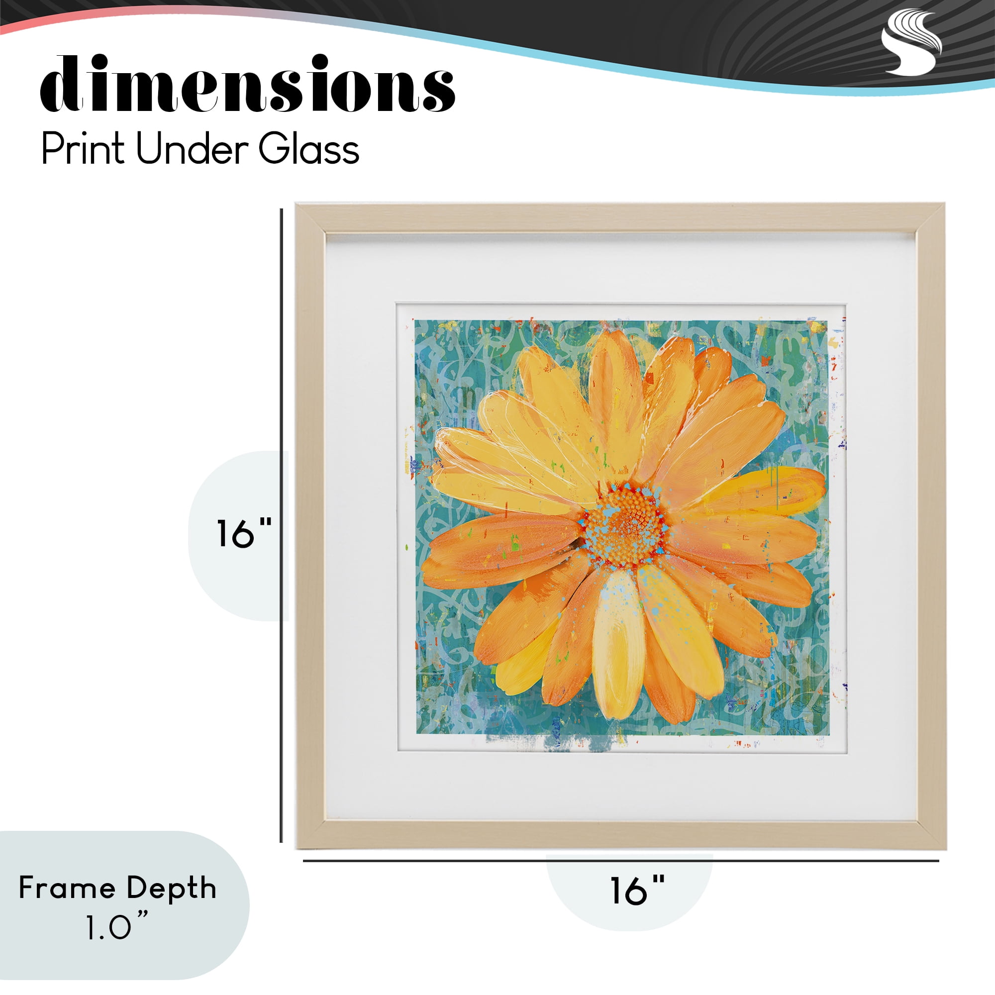 Stupell Industries Urban Daisy over Graffiti Birch Framed Print Under Glass, design by Porter Hastings