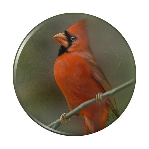 Red Cardinal Bird On Branch Pinback Button Pin