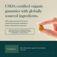 thumbnail image 4 of Complementa las gomitas diarias para adultos Turmeric Supreme de Gaia Herbs, 4 of 8