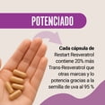 thumbnail image 3 of Resveratrol Trans 1000mg Restart – 60 Cápsulas Veganas con Semilla de Uva 95% Polifenoles – Alta Pureza, Potenciado y Certificado – Suplemento Antioxidante Superior - Vitaminas Hombre / Mujer, 3 of 6