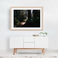 thumbnail image 6 of Untitled - California Photography Forest Nature Woodland Scenic Woods Mystical Landscape Unframed Wall Art Print 12 x 18 inches, 6 of 7