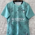 thumbnail image 3 of Camiseta de la GAA de Cork Mayo Clare Kerry 2025, camisetas de la GAA de Tipperary, Wexford, Tyrone, Dublin, Donegal, Derry, Irlanda, tallas S a 3XL, 3 of 5