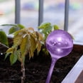 thumbnail image 4 of Riego Por Goteo Con Forma Transparente PVC para Plantas Interiores () Morado, 4 of 5