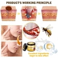 thumbnail image 3 of Crema Hidratante para la Piel YIVANNUO con Veneno de Abeja 2 x 60 g, 3 of 7