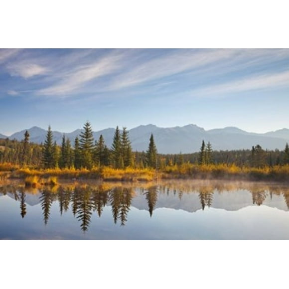 Canada, Alberta, Jasper National Park Scenic of Cottonwood Slough Poster Print by Jaynes Gallery (29 x 19)