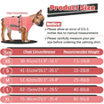 thumbnail image 2 of ROZKITCH Dog Anxiety Vest,Soft Calming Vest for Large Dogs,Adjustable Dog Anxiety Relief Shirt for Thunder,Fireworks,Vet Visits,Separation,Travel(Fleshpink,XS), 2 of 6