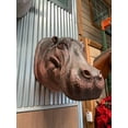 thumbnail image 2 of Gray Hippo Head Life Size Statue, 2 of 5