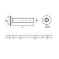 thumbnail image 4 of Tornillo de seguridad a prueba de manipulaciones Torx anti robo M6x25mm 15/64" x 1" 15 piezas, 4 of 4