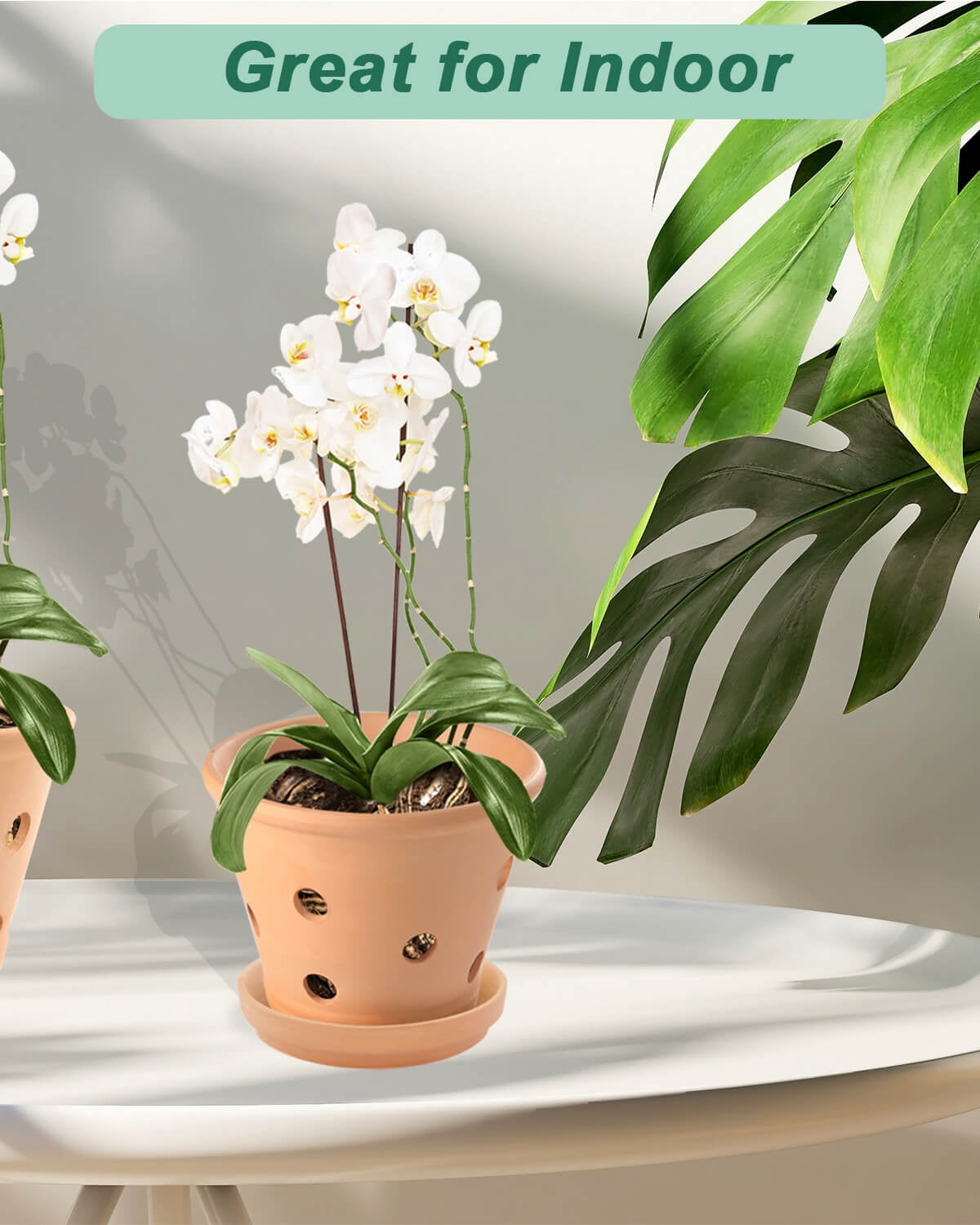 6 Inch Terracotta Orchid Pots with Holes and Saucers - 3 Pcs Small Clay Orchid Planter Pots for Repotting, Plant Flower Pots for Orchid Indoor and Outdoor Promotes Air Circulation