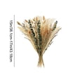 thumbnail image 3 of Dried Pampas Grass Decor Set – Faux Bunny Tails and Pampas Grass Bundle for Boho Home Table Wedding Farmhouse Party Decoration, 3 of 6
