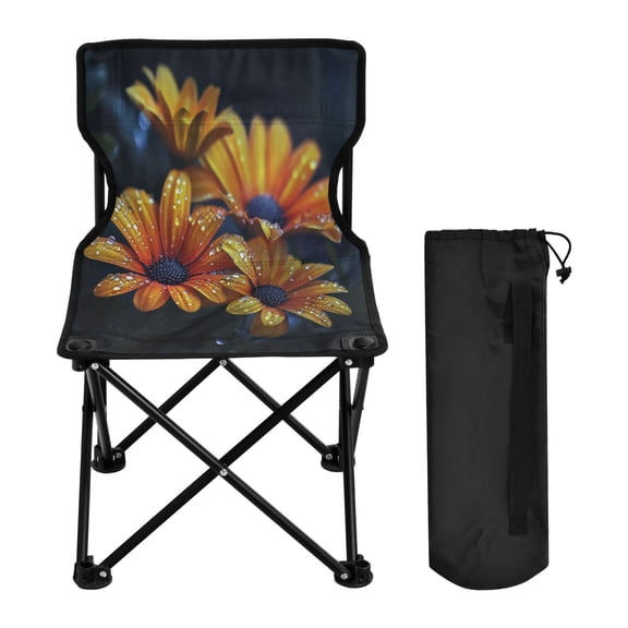 BZSMCE Camping Chairs Modern Dew-kissed Orange Blossoms Pattern Folding chair