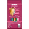 thumbnail image 3 of Iams Proactive Health Urinary Tract Health Chicken Dry Cat Food, 3.5 Lb Bag, 3 of 9