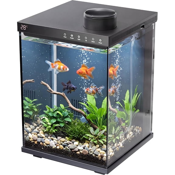 Fish Tank with Auto Feeder,4 Gallon Fish Tank Aquarium with 3-in-1 Filter, Full-Spectrum LED Light