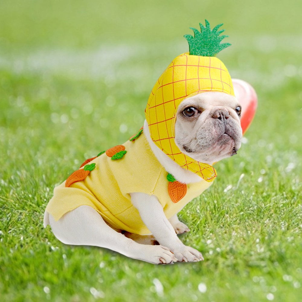 Pineapple dog sweater best sale