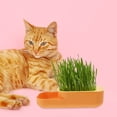 thumbnail image 4 of HAKIDZEL 1Pcs Plastic Cat Grass Planter for Indoor Use 11.8X3.7X2.2in, 4 of 8