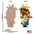thumbnail image 2 of Cabana Minion (The Minions), 2 of 3