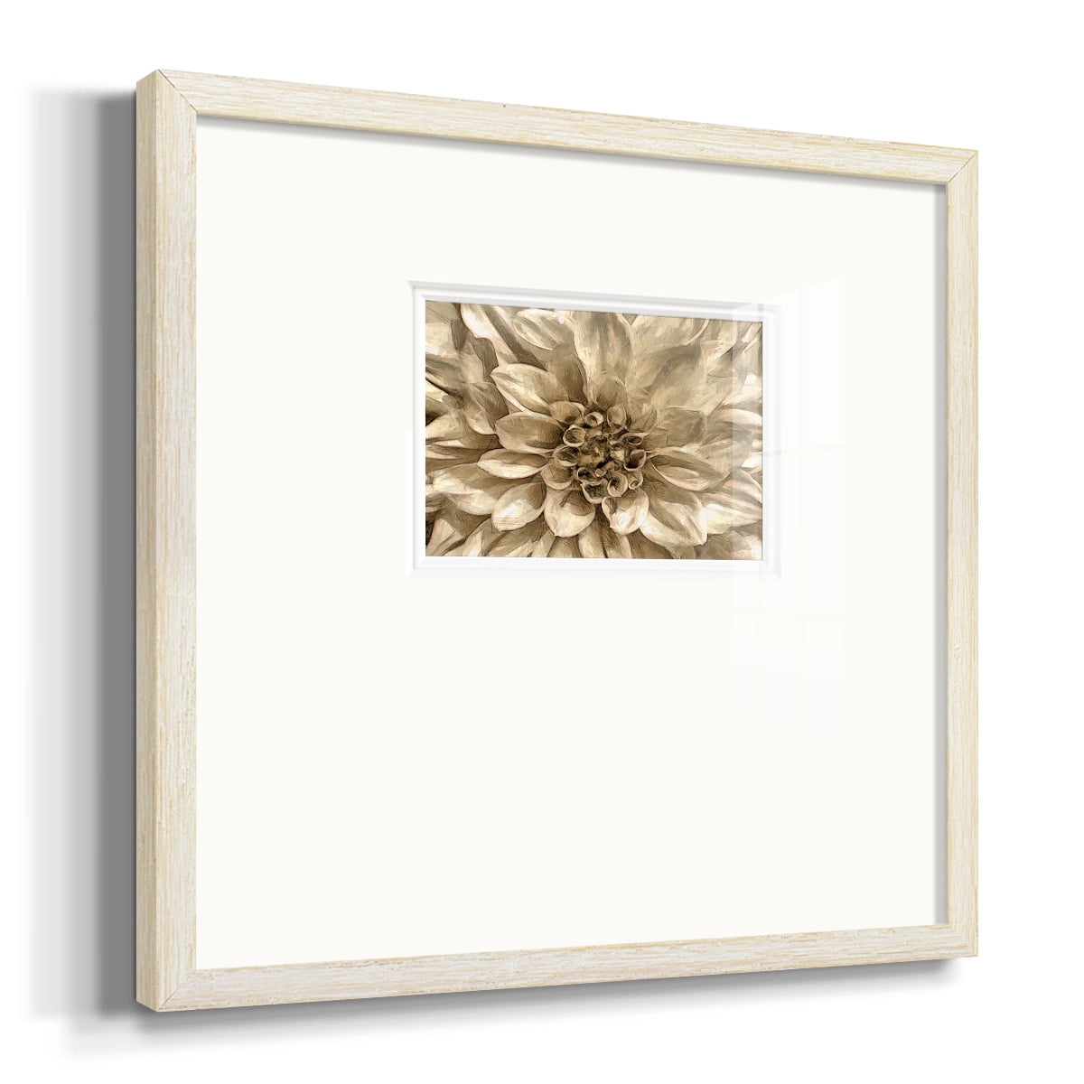 Neutral Wall Flower IPremium Framed Print
