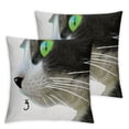 thumbnail image 2 of Acheng Black Cat Throw Pillow Covers Animal Sitting Cat Fun Lettering Watching Humans Pillowcase Pillow Shams Cushion Case Single Side Printing  2pcs White, 2 of 6