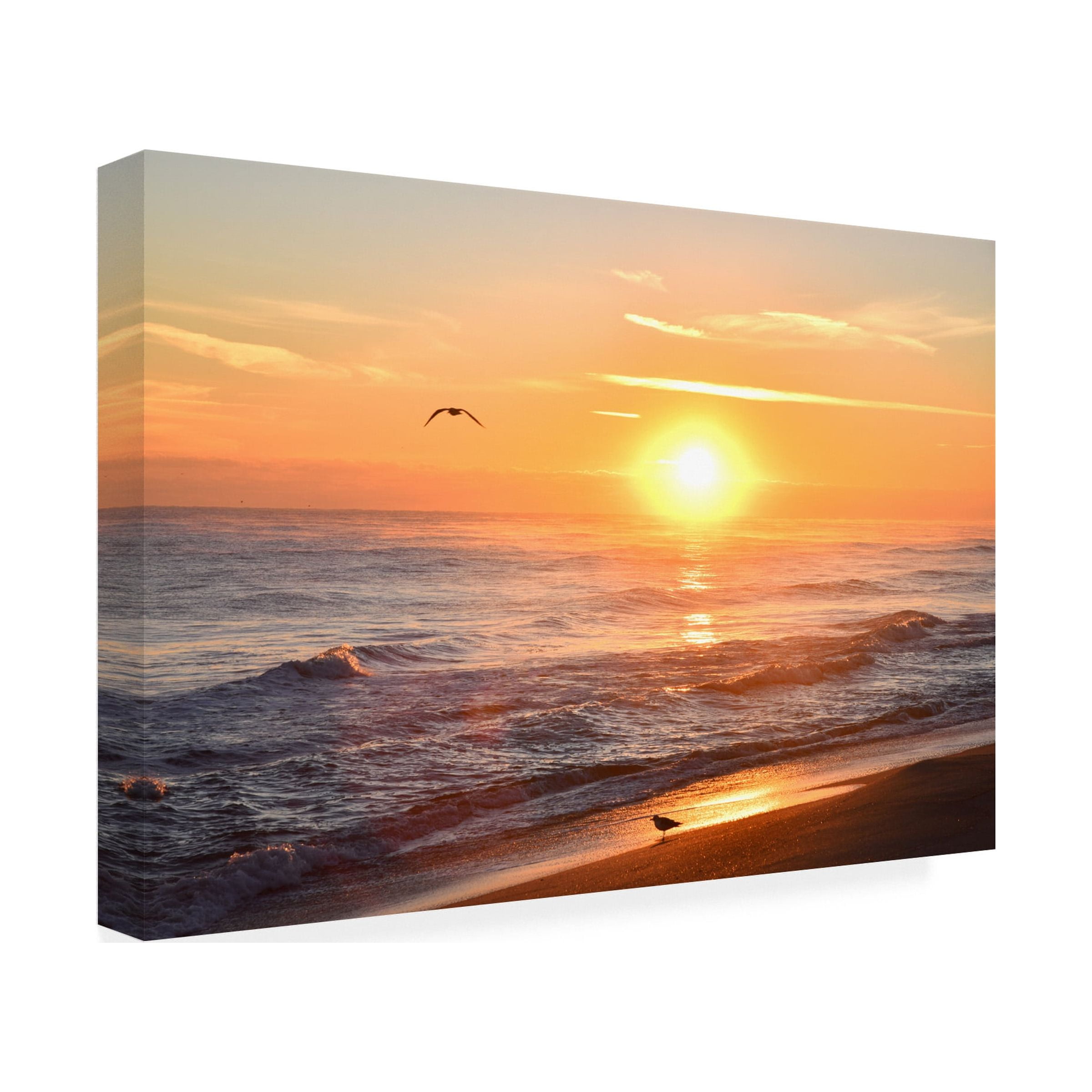 Robert Michaud 'Sunrise Playalinda Beach 2' Canvas Art