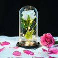 thumbnail image 1 of Rosa Eterna QUELIEN Rosas Blancas en Cúpula de Cristal - Regalo, 1 of 6
