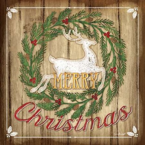 Merry Christmas Can