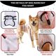 thumbnail image 4 of Poncho con capucha para perro, poncho impermeable para perro con capucha, impermeable para perro con capucha, chaqueta impermeable para perro, abrigo impermeable para perro, 4 of 5