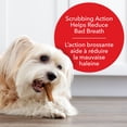 thumbnail image 4 of Milk-Bone Brushing Chews Dental Dog Treats for Small Dogs, 4 of 10