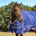 thumbnail image 3 of Jeffers Poplar Head Origin 600 Denier Turnout Blanket | 240 Gram Polyfill | Waterproof, Breathable, Horse Blanket for Cold Weather | Navy with Star Print, Adjustable Straps, Fits 81", 3 of 8