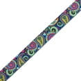 thumbnail image 2 of Country Brook Design - Bright Paisley Polyester Webbing (1/2 Inch), 2 of 4