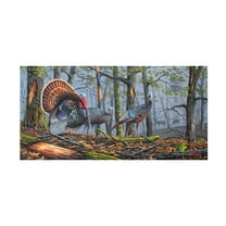 Trademark Fine Art 'Trophy Strut' Canvas Art by Geno Peoples